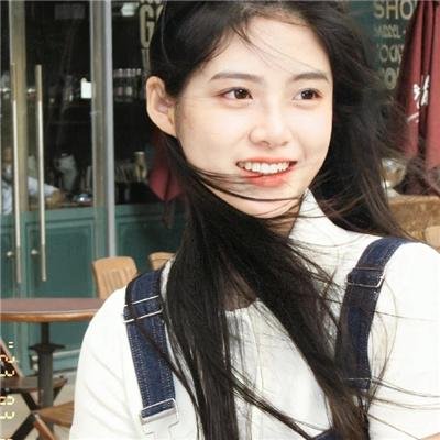 龙年档案